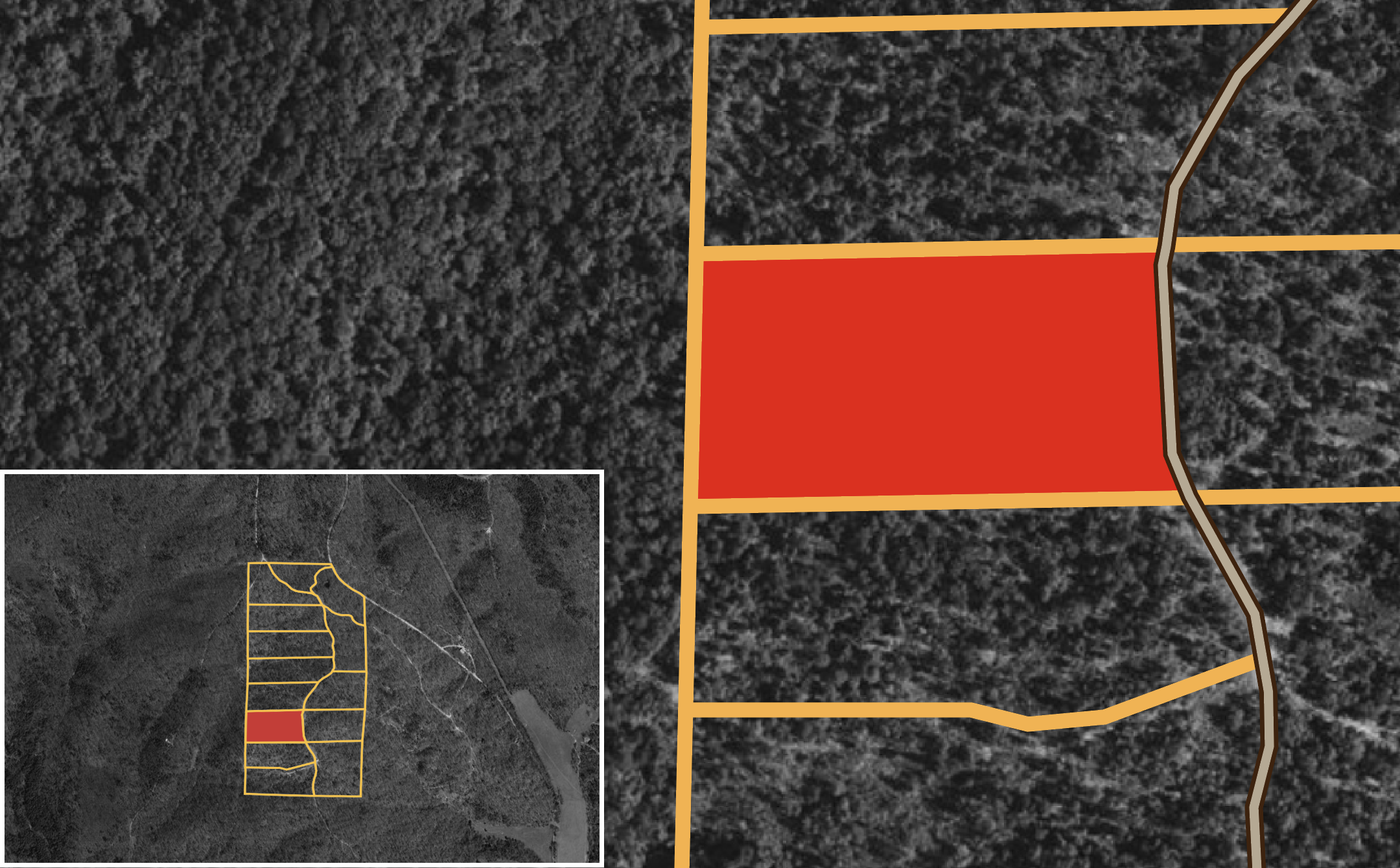 FXHL-T10 tract image