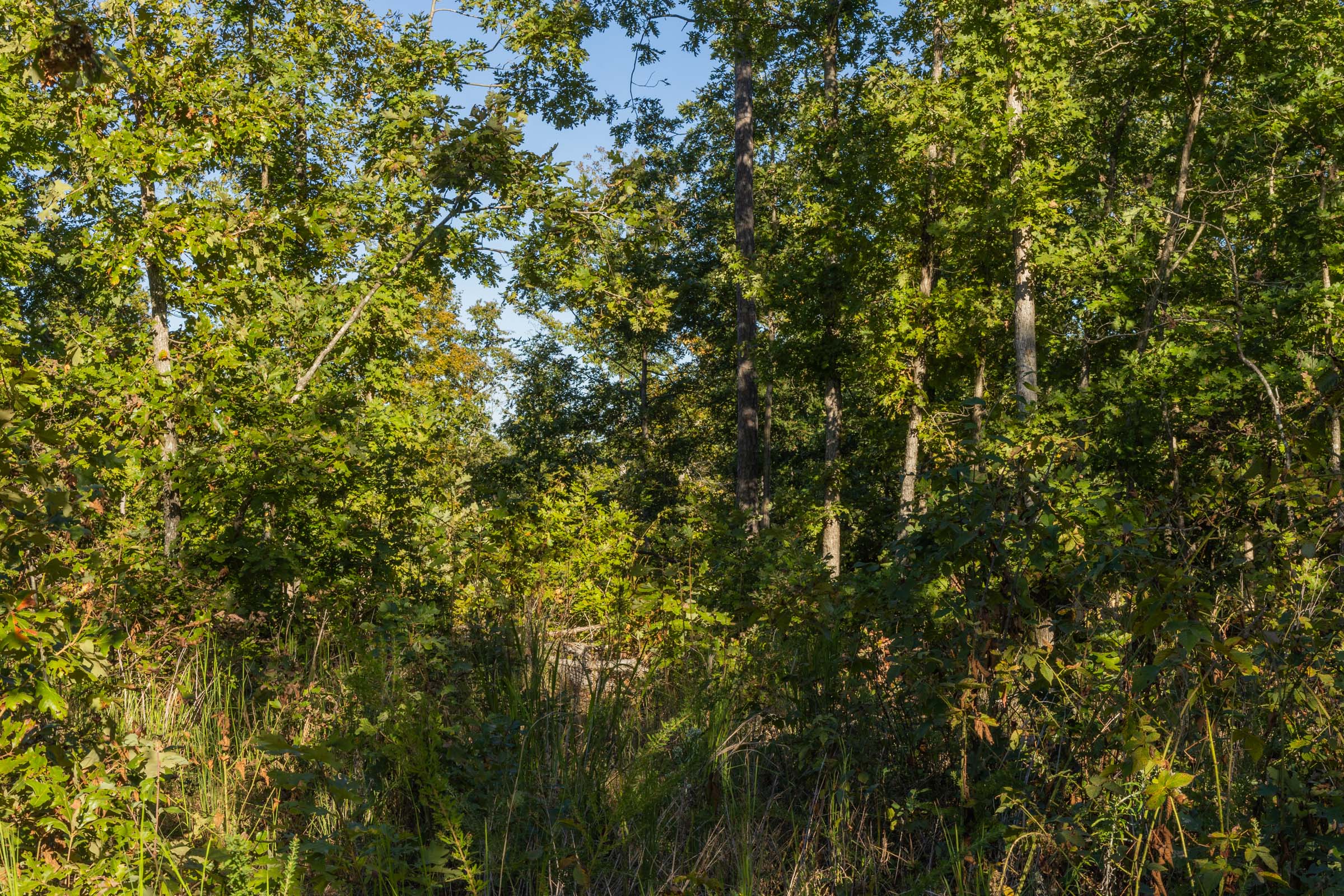 Tract 13 at Fox Hollow in Reynolds County, Missouri
