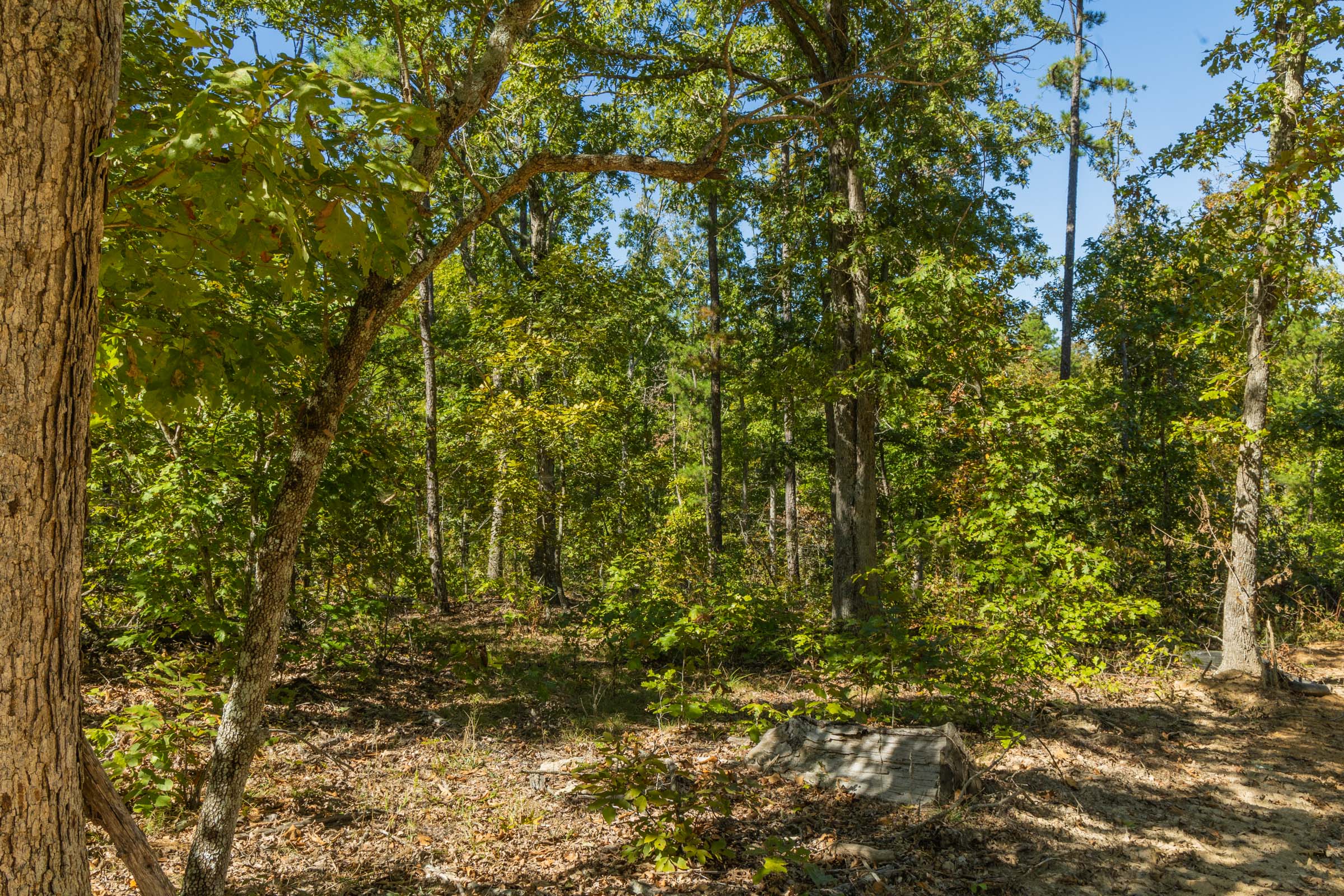 Tract 2 at Fox Hollow in Reynolds County, Missouri
