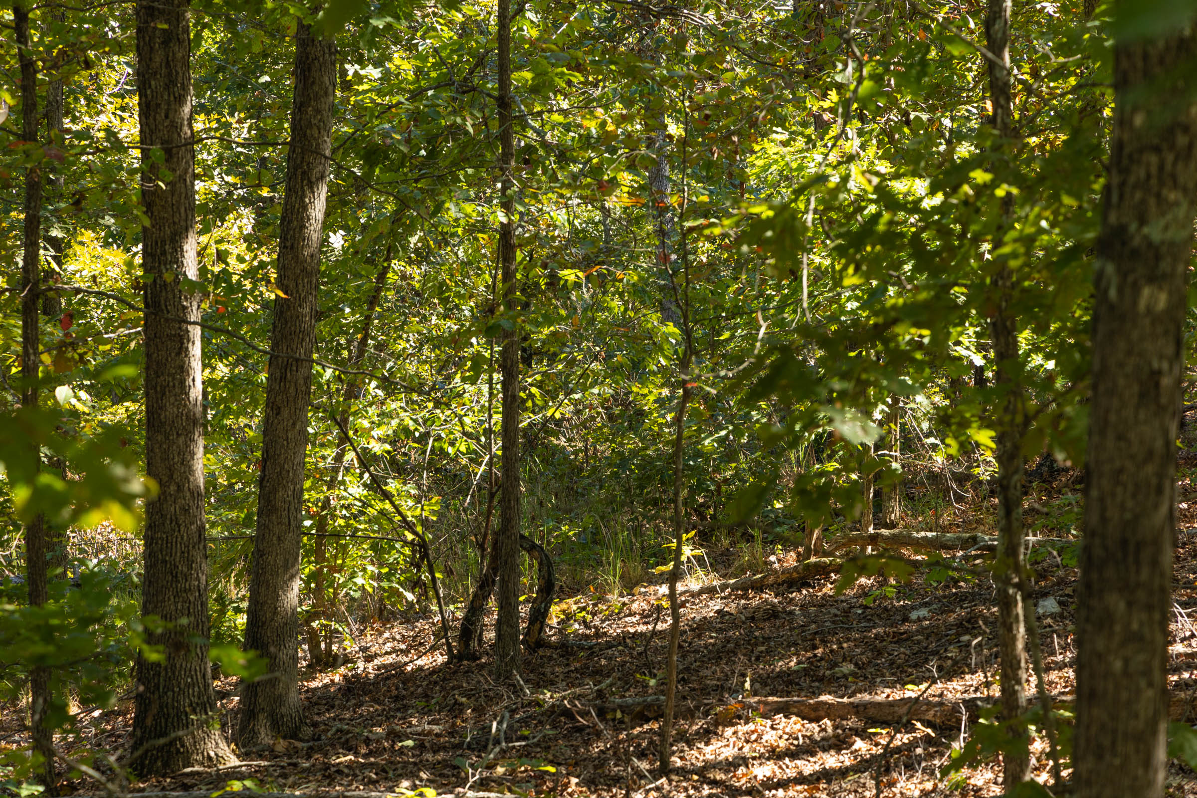 Tract 5 at Fox Hollow in Reynolds County, Missouri